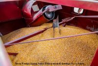 Mesin Pemipil Jagung