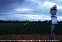 Efektivitas Laser Scarecrow dalam Mengatasi Serangan Burung di Lahan Pertanian Laser Scarecrow