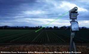 Efektivitas Laser Scarecrow dalam Mengatasi Serangan Burung di Lahan Pertanian Laser Scarecrow