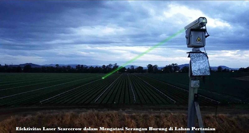 Laser Scarecrow
