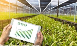 blockchain pertanian