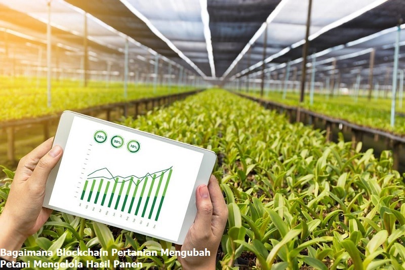 blockchain pertanian