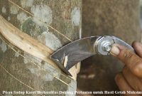 Pisau Sadap Karet Berkualitas Dukung Pertanian untuk Hasil Getah Maksimal Pisau Sadap Karet
