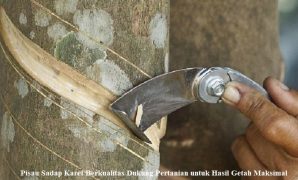 Pisau Sadap Karet Berkualitas Dukung Pertanian untuk Hasil Getah Maksimal Pisau Sadap Karet