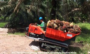 Jenis Mesin Panen Kelapa Sawit untuk Mendukung Efisiensi Kerja Mesin Panen Kelapa Sawit